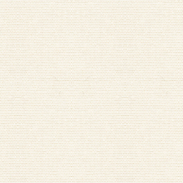 Kravet 33496.101 Cover Salt Fabric