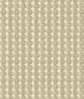 Kravet 33557.106 Rare Coin Platinum Fabric