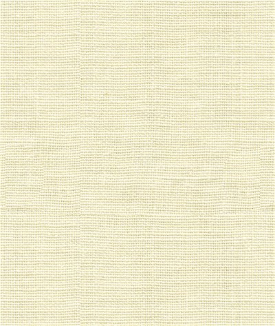 Kravet 33767.101 Fabric