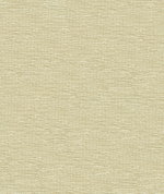 Kravet 33831.1001