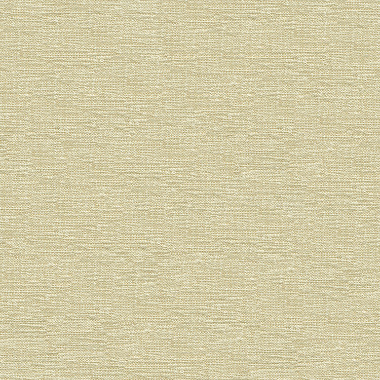 Kravet 33831.1001 Fabric
