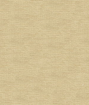 Kravet 33831.110 Fabric
