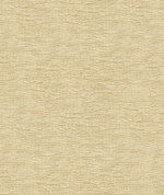 Kravet 33831.1116