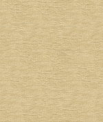 Kravet 33831.116