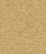 Kravet 33831.1616