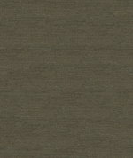 Kravet 33831.21