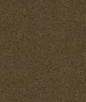 Kravet 33851.866 Moto Bark Fabric