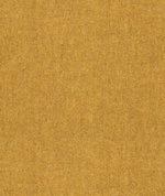 Kravet 33852.4
