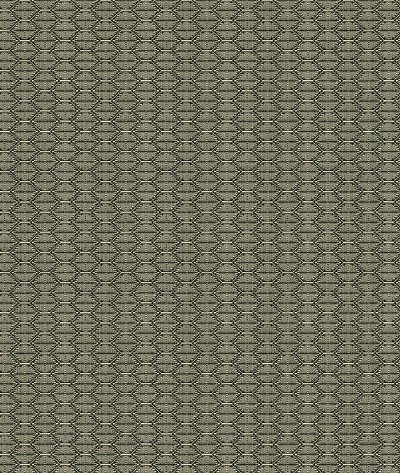 Kravet 33862.1621 Nzuri Thunder Fabric