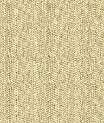 Kravet 33877.16 Fabric