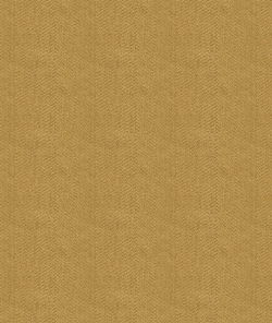 Kravet 33877.606
