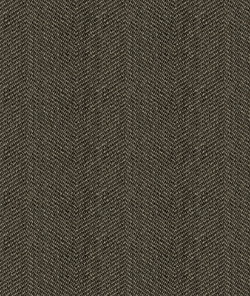 Kravet 33877.8