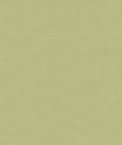 Kravet 33886.111 Fabric
