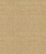 Kravet 33887.416 Sener Ochre
