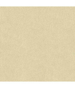 Kravet Couture 34074-111