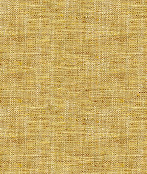 Kravet 34088.4 Fabric