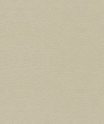 Kravet 34121.111 Suede Texture Gris