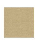 Kravet Vetro Golden Fabric