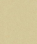 Kravet 34177.16 Jatoba Oyster Fabric
