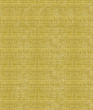 Kravet 34191.303 Fabric