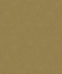 Kravet 34205.1616 Fabric