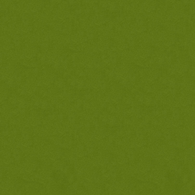 Kravet 34205.3 Fabric