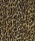 Kravet 34229.616 Fabric