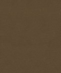 Kravet 34328.106 Statuesque Mocha Fabric