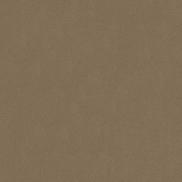 Kravet 34328.1611 Statuesque Taupe Fabric