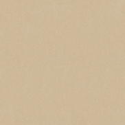 Kravet 34328.16 Statuesque Sand Fabric
