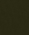 Kravet 34328.53 Statuesque Forest Fabric