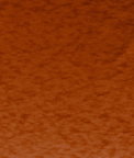 Kravet High Impact Persimmon Fabric