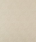 Kravet Basics 34412-111 Fabric