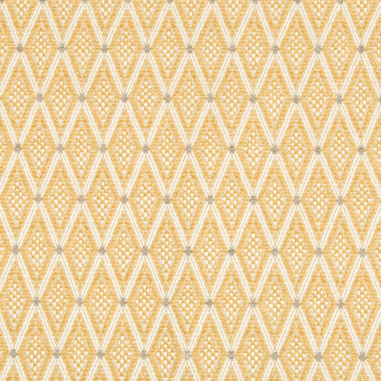 Kravet 34699.16 Fabric