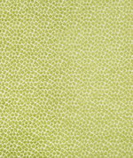 Kravet 34745.3