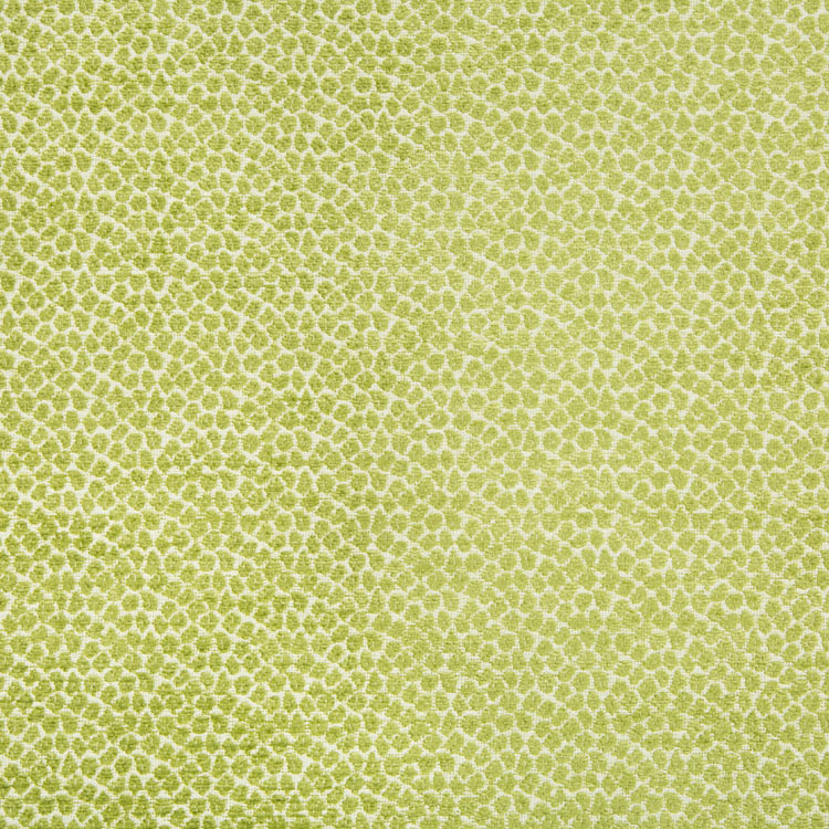 Kravet 34745.3 Fabric