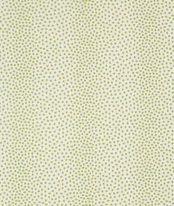 Kravet 34748.13