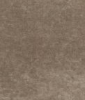 Kravet Queen's Velvet Mink Fabric