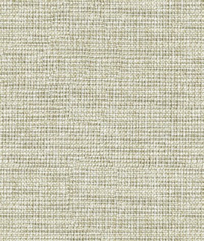 Kravet Couture 34825-1611 Fabric