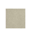 Kravet Cozy Linen Dove Fabric