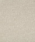 Kravet Dovecoat Stone Fabric
