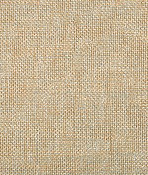 Kravet 34926.1611 Fabric