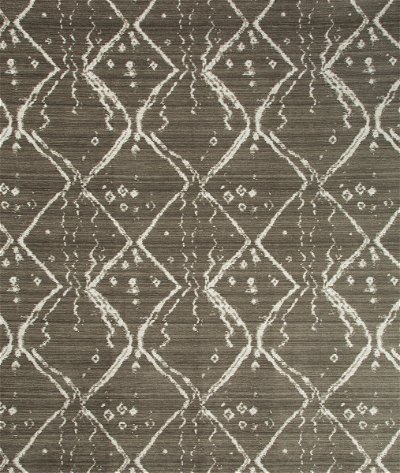 Kravet Globe Trot Sparrow Fabric