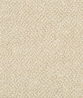 Kravet Babbit Cashew Fabric