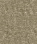 Kravet 34959.1101