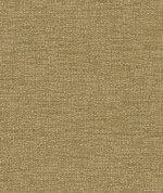 Kravet 34959.116