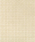 Kravet Back In Style Natural Fabric