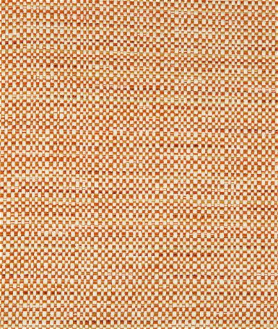Kravet Design 34999-412 Fabric