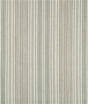 Kravet Contract 35036-1611 Fabric
