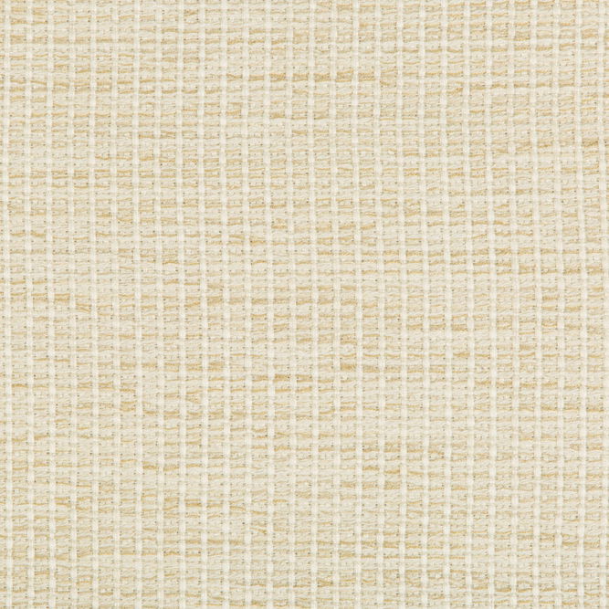 Kravet Design 35123-116 Fabric